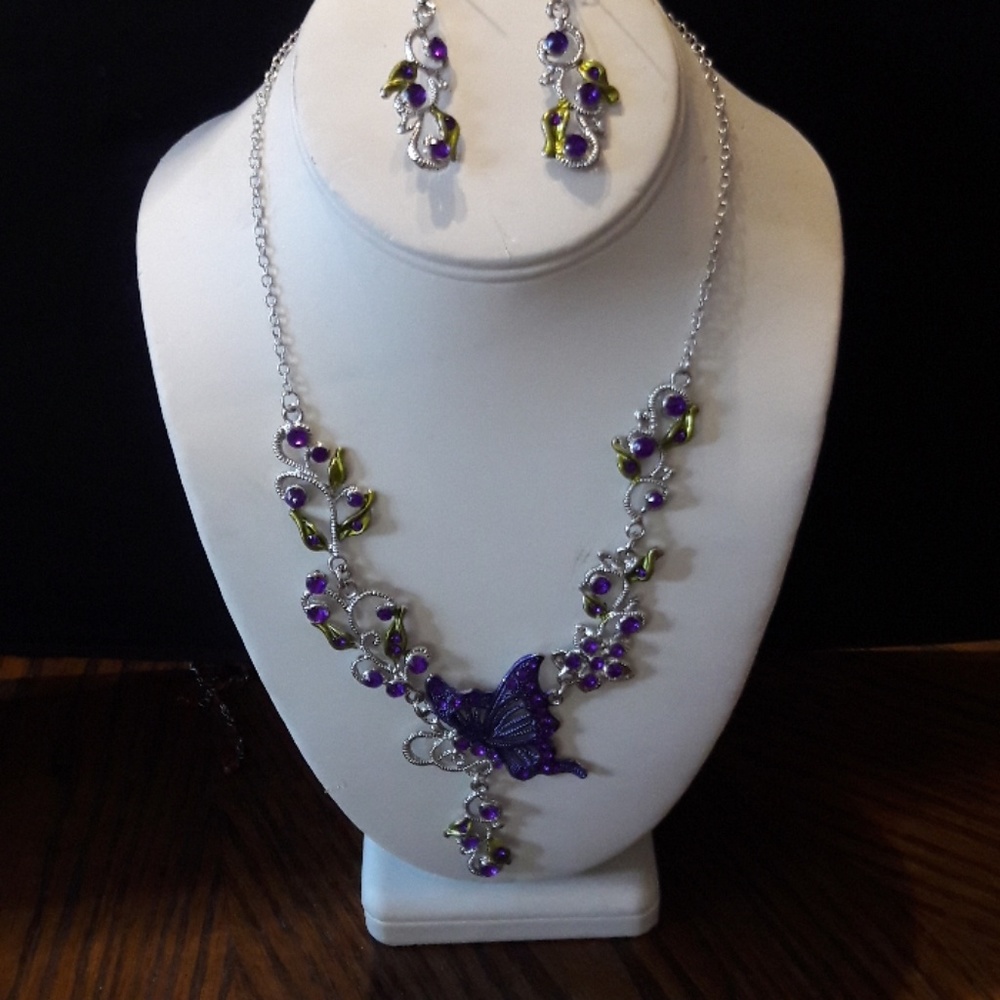 Necklace and earing set (nwot)